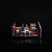 SW1x AMP II “Trident” Integrated Amplifier variant 9