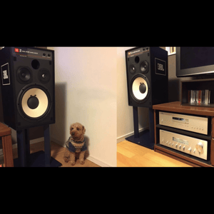 Thumbnail of the video review https://www.youtube.com/watch?v=DI0ANbt1BtI