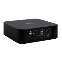 Silent Angel Rhein Z1C variant 9