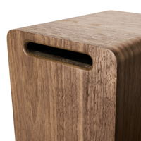 Argon Audio FORTE A5 WIFI variant 12