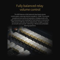 Topping A900 variant 12