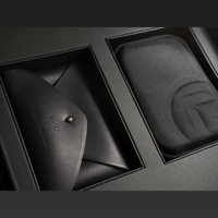 DITA Audio Awesome Truth (Gold Special Edition) variant 6