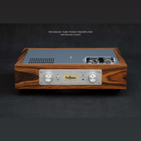 ThivanLabs P20 MM/MC TUBE PHONO PREAMPLIFIER variant 1
