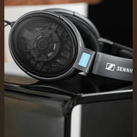 Sennheiser HD 600 variant 8