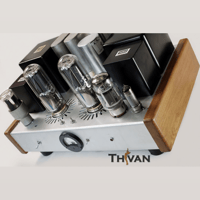 ThivanLabs Special ultimate monoblock 845PP Amplifiers variant 7