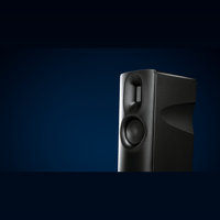 Borresen Acoustics Børresen Z3 variant 1