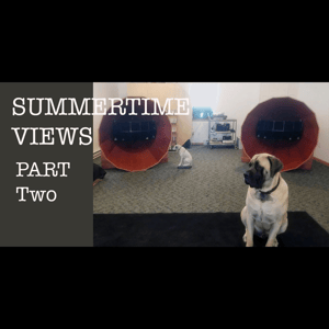 Thumbnail of the video review https://www.youtube.com/watch?v=zxdeGMBdQfE