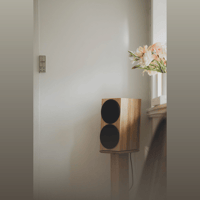 Buchardt Audio Anniversary 10 variant 18