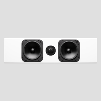 Totem Acoustic Element Wood V2 variant 4