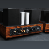 ThivanLabs 211 POWER MONOBLOCK variant 11