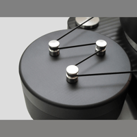 TW-Acustic Raven AC variant 8