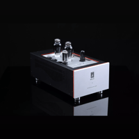 SW1x MPA IV “Aurora” Mono Power Amplifier variant 17