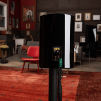 AudioQuest Robin Hood ZERO BiWire COMBO variant 3