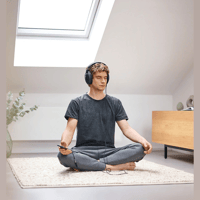 Sennheiser HD 620 S variant 5