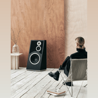 Audiovector Trapeze Reimagined variant 3