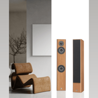 Vienna Acoustics mozart infinity variant 2