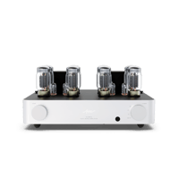 Fezz Audio Olympia Dual Mono Amplifier variant 9