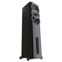 Perlisten A3t variant 6