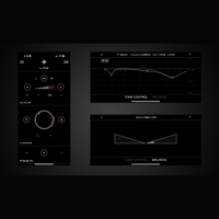 Schiit Audio Mimir variant 5