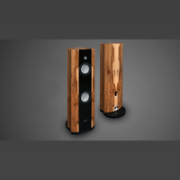 Ayon audio Ayon BlackRaven variant 5