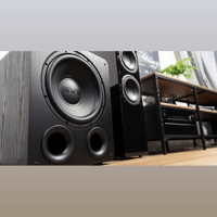 SVS PB-1000 Pro variant 6