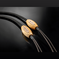 Jorma Audio Unity variant 10