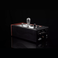 SW1x MPA III “Oracle” Mono Power Amplifier variant 4
