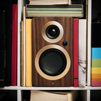 Argon Audio FORTE A4 WIFI variant 28