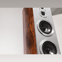 Audiovector R 10 variant 5