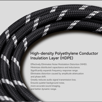 Cayin CS-30RCA variant 5