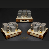 ThivanLabs GOLD 845 – V25 variant 1