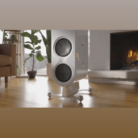 PS Audio Aspen FR20 Loudspeaker variant 6