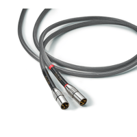 Audience Au24 SX XLR variant 1