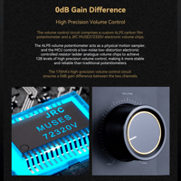 Cayin Soul 170HA variant 22