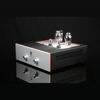SW1x AMP IV “Aura” Integrated Amplifier variant 12