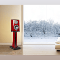 Cayin T30 MK2 variant 11