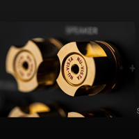 Musical Fidelity Nu-Vista PAM variant 7