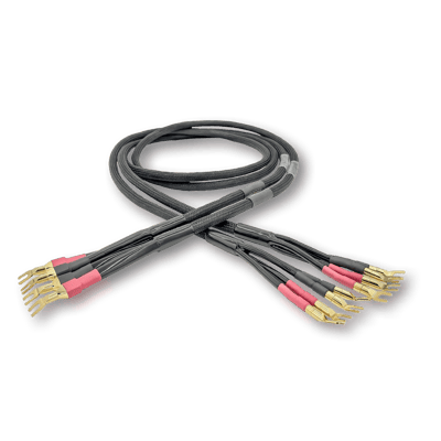 Tara Labs The Caprice II Bi-Wire