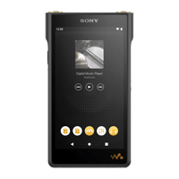 Sony NW-WM1AM2 variant 4