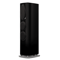Sonus Faber Sonetto v variant 6