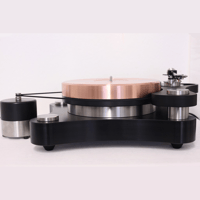 TW-Acustic Raven Anniversary variant 13