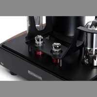 Mastersound Monoblock 845 (pair) variant 8