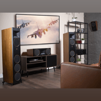 MartinLogan Motion XT C100 variant 24