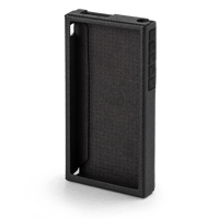 Astell & Kern PD10 Case variant 3