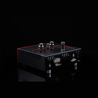 SW1x AMP II “Electra” Integrated Amplifier variant 9