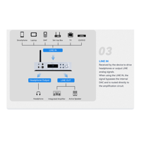 Cayin BTC-2 variant 9