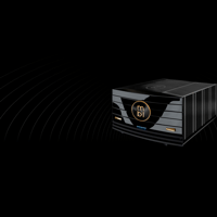 MBL - USA MBL 9008 A variant 1