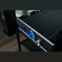 Pass Labs INT-60 variant 14