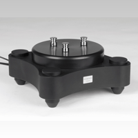 TW-Acustic Raven Black Night variant 11