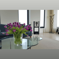 Grimm Audio LS1be variant 22